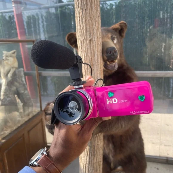Rare Pink HD 16 MP camcorder with Microphone, 32 GB sd card and Fish eye Lens